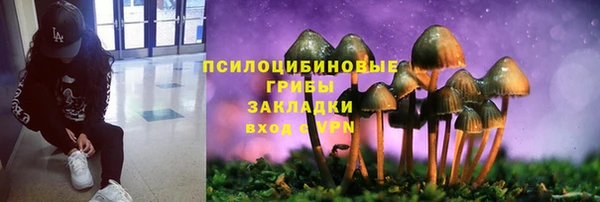 a pvp Богданович