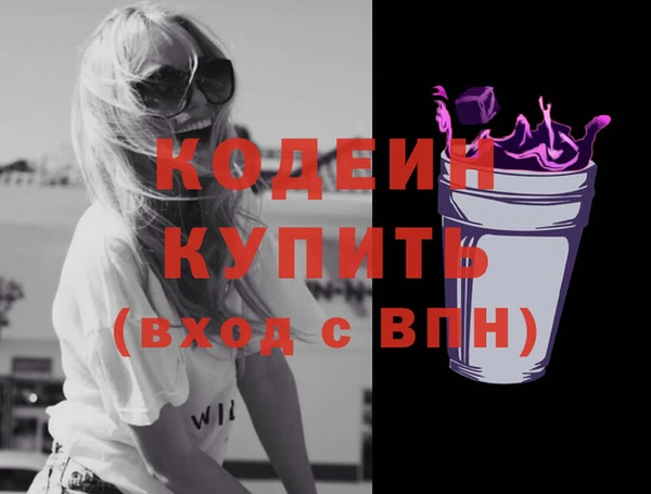 хмурый Богородск