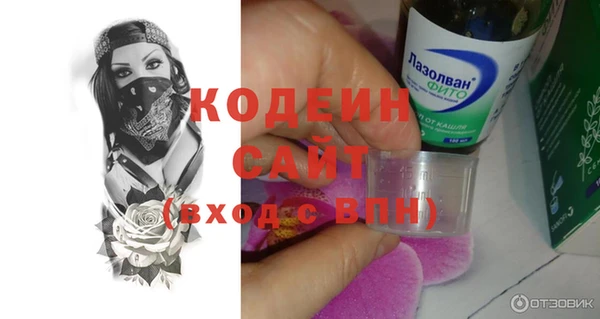 хмурый Богородск