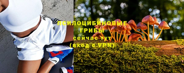 бутират Богородицк