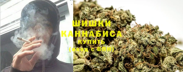хмурый Богородск