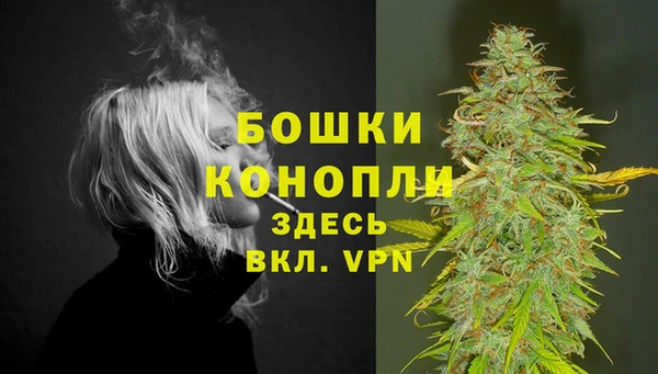 хмурый Богородск