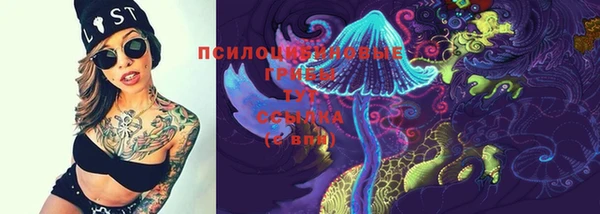 бутират Богородицк