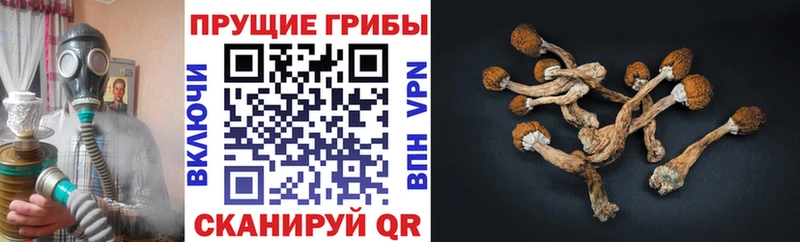 Галлюциногенные грибы мухоморы продажа наркотиков Обь